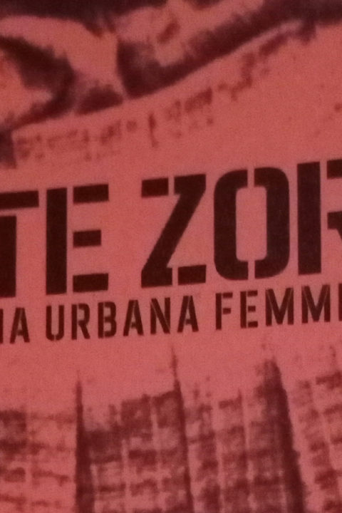 In catimini, ovvero Rote zora e la guerriglia urbana femminista